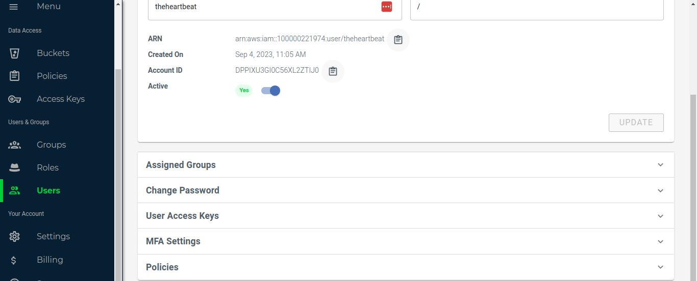 User access keys section